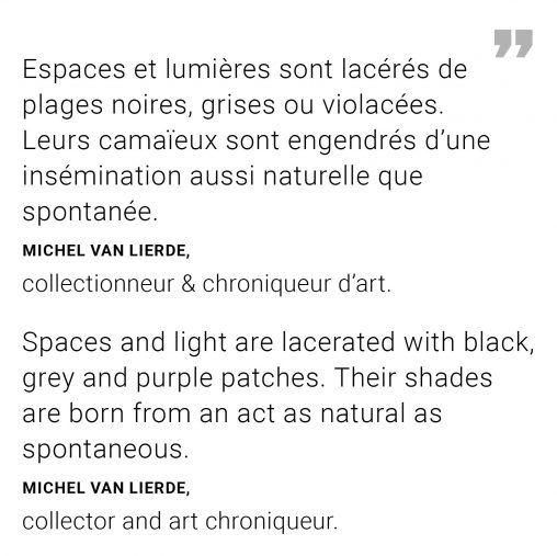 Michel Van Lierde - Extrait du texte de présentation "Ode à la pluie" erica-icare.com